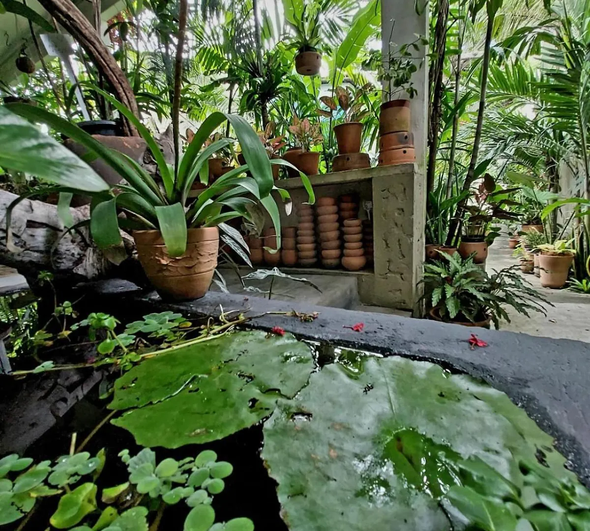 شقة Residencial Casa Flor Atelier Botanico, Ponta Negra ناتال
